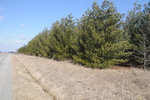 Property photo 35 - 247+/- Acres Offered in 8 Tracts