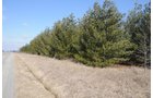 Property photo 35 - 247+/- Acres Offered in 8 Tracts