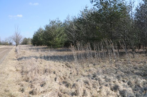 Property photo 13 - 247+/- Acres Offered in 8 Tracts
