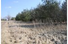 Property photo 13 - 247+/- Acres Offered in 8 Tracts