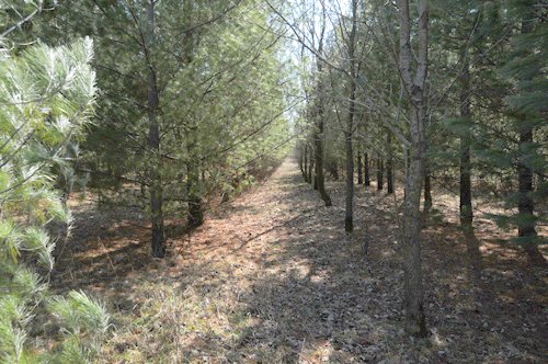 Property photo 38 - 247+/- Acres Offered in 8 Tracts