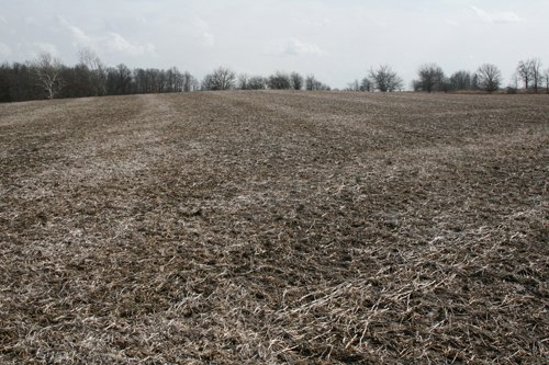 Property photo 1 - 98+/- Acres Offered in 1 Tract of Productive Tillable Land