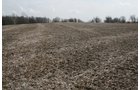 Property photo 1 - 98+/- Acres Offered in 1 Tract of Productive Tillable Land