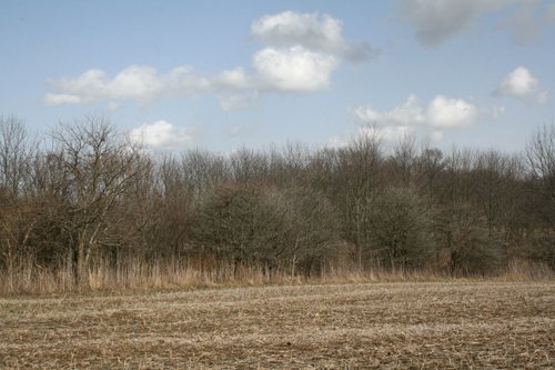 Property photo 2 - 98+/- Acres Offered in 1 Tract of Productive Tillable Land