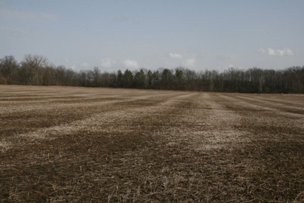 98+/- Acres Offered in 1 Tract of Productive Tillable Land