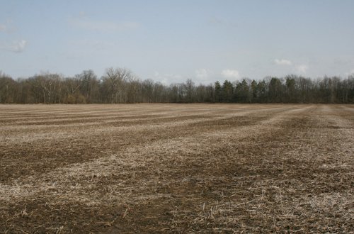 Property photo 5 - 98+/- Acres Offered in 1 Tract of Productive Tillable Land