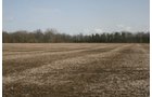 Property photo 5 - 98+/- Acres Offered in 1 Tract of Productive Tillable Land