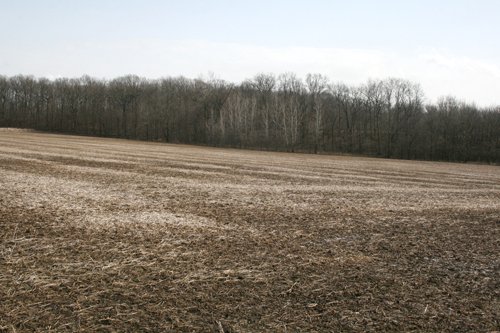 Property photo 3 - 98+/- Acres Offered in 1 Tract of Productive Tillable Land