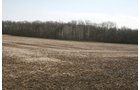 Property photo 3 - 98+/- Acres Offered in 1 Tract of Productive Tillable Land