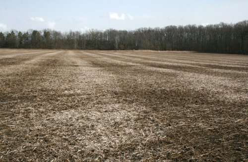Property photo 4 - 98+/- Acres Offered in 1 Tract of Productive Tillable Land