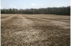 Property photo 4 - 98+/- Acres Offered in 1 Tract of Productive Tillable Land