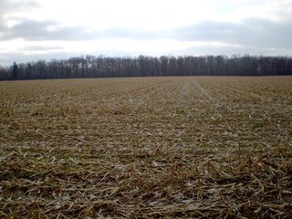 Tract 3 - 218+/- Acres Offered in 9 Tracts with 147+/- Tillable Acres - Possession for 2012 Crop Year!