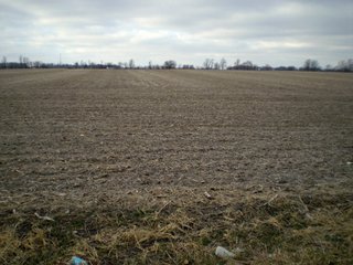 Property photo 18 - 218+/- Acres Offered in 9 Tracts with 147+/- Tillable Acres - Possession for 2012 Crop Year!