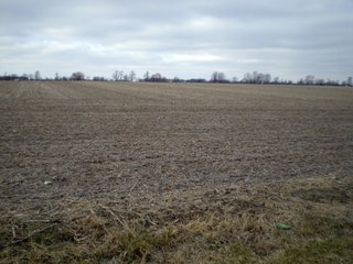 Property photo 20 - 218+/- Acres Offered in 9 Tracts with 147+/- Tillable Acres - Possession for 2012 Crop Year!