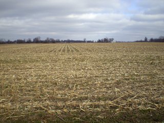 Property photo 31 - 218+/- Acres Offered in 9 Tracts with 147+/- Tillable Acres - Possession for 2012 Crop Year!