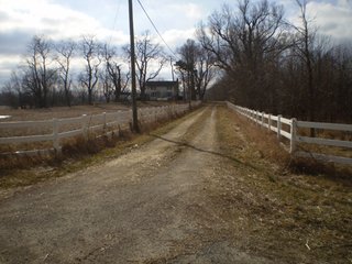 Tract 6 - 218+/- Acres Offered in 9 Tracts with 147+/- Tillable Acres - Possession for 2012 Crop Year!
