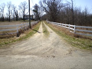 Tract 6 - 218+/- Acres Offered in 9 Tracts with 147+/- Tillable Acres - Possession for 2012 Crop Year!