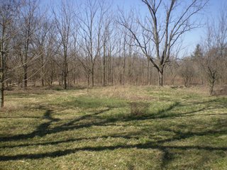 Property photo 43 - 218+/- Acres Offered in 9 Tracts with 147+/- Tillable Acres - Possession for 2012 Crop Year!