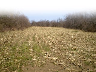 Property photo 51 - 218+/- Acres Offered in 9 Tracts with 147+/- Tillable Acres - Possession for 2012 Crop Year!