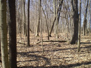 Property photo 46 - 218+/- Acres Offered in 9 Tracts with 147+/- Tillable Acres - Possession for 2012 Crop Year!