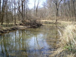 Mud Creek, Tract 4 - 218+/- Acres Offered in 9 Tracts with 147+/- Tillable Acres - Possession for 2012 Crop Year!