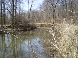 Property photo 54 - 218+/- Acres Offered in 9 Tracts with 147+/- Tillable Acres - Possession for 2012 Crop Year!