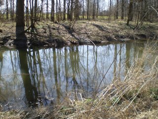 Property photo 5 - 218+/- Acres Offered in 9 Tracts with 147+/- Tillable Acres - Possession for 2012 Crop Year!