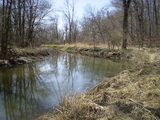 Property photo 21 - 218+/- Acres Offered in 9 Tracts with 147+/- Tillable Acres - Possession for 2012 Crop Year!