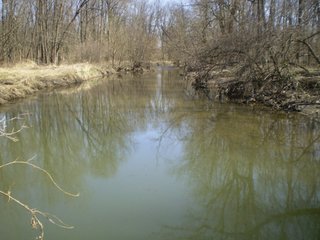 Property photo 40 - 218+/- Acres Offered in 9 Tracts with 147+/- Tillable Acres - Possession for 2012 Crop Year!