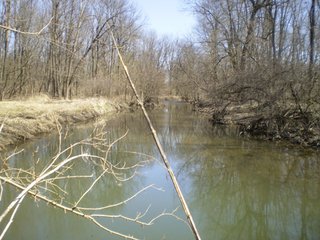 Property photo 24 - 218+/- Acres Offered in 9 Tracts with 147+/- Tillable Acres - Possession for 2012 Crop Year!