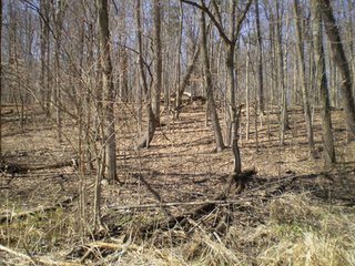 Property photo 11 - 218+/- Acres Offered in 9 Tracts with 147+/- Tillable Acres - Possession for 2012 Crop Year!