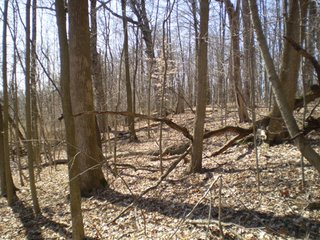 Property photo 47 - 218+/- Acres Offered in 9 Tracts with 147+/- Tillable Acres - Possession for 2012 Crop Year!