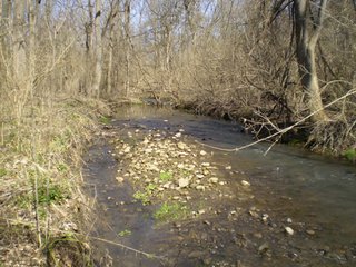 Property photo 26 - 218+/- Acres Offered in 9 Tracts with 147+/- Tillable Acres - Possession for 2012 Crop Year!