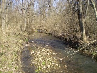 Property photo 29 - 218+/- Acres Offered in 9 Tracts with 147+/- Tillable Acres - Possession for 2012 Crop Year!