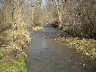 Property photo 49 - 218+/- Acres Offered in 9 Tracts with 147+/- Tillable Acres - Possession for 2012 Crop Year!