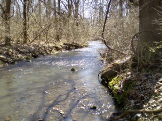 Huffer Creek, Tract 5 - 218+/- Acres Offered in 9 Tracts with 147+/- Tillable Acres - Possession for 2012 Crop Year!