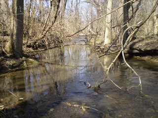 Property photo 25 - 218+/- Acres Offered in 9 Tracts with 147+/- Tillable Acres - Possession for 2012 Crop Year!