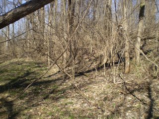 Property photo 48 - 218+/- Acres Offered in 9 Tracts with 147+/- Tillable Acres - Possession for 2012 Crop Year!