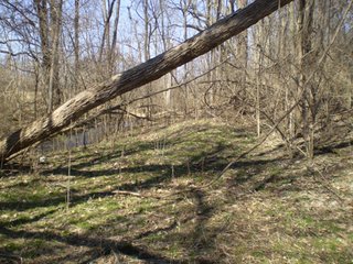 Property photo 2 - 218+/- Acres Offered in 9 Tracts with 147+/- Tillable Acres - Possession for 2012 Crop Year!