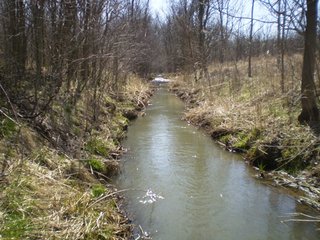 Property photo 15 - 218+/- Acres Offered in 9 Tracts with 147+/- Tillable Acres - Possession for 2012 Crop Year!