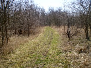 Tract 5 - 218+/- Acres Offered in 9 Tracts with 147+/- Tillable Acres - Possession for 2012 Crop Year!