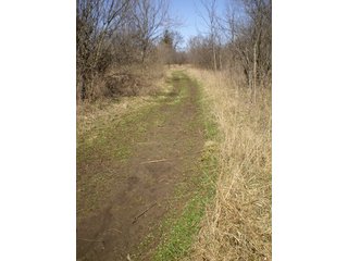 Tract 5 - 218+/- Acres Offered in 9 Tracts with 147+/- Tillable Acres - Possession for 2012 Crop Year!