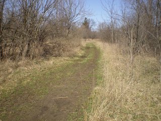 Tract 5 - 218+/- Acres Offered in 9 Tracts with 147+/- Tillable Acres - Possession for 2012 Crop Year!