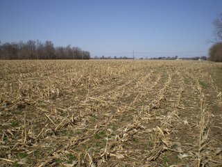 Property photo 44 - 218+/- Acres Offered in 9 Tracts with 147+/- Tillable Acres - Possession for 2012 Crop Year!