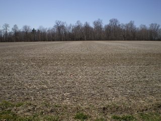 Property photo 12 - 218+/- Acres Offered in 9 Tracts with 147+/- Tillable Acres - Possession for 2012 Crop Year!