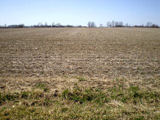 Tract 2 - 218+/- Acres Offered in 9 Tracts with 147+/- Tillable Acres - Possession for 2012 Crop Year!