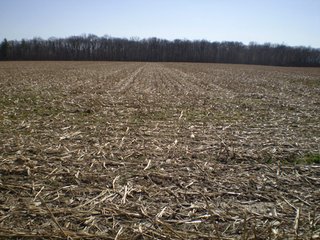 Property photo 52 - 218+/- Acres Offered in 9 Tracts with 147+/- Tillable Acres - Possession for 2012 Crop Year!