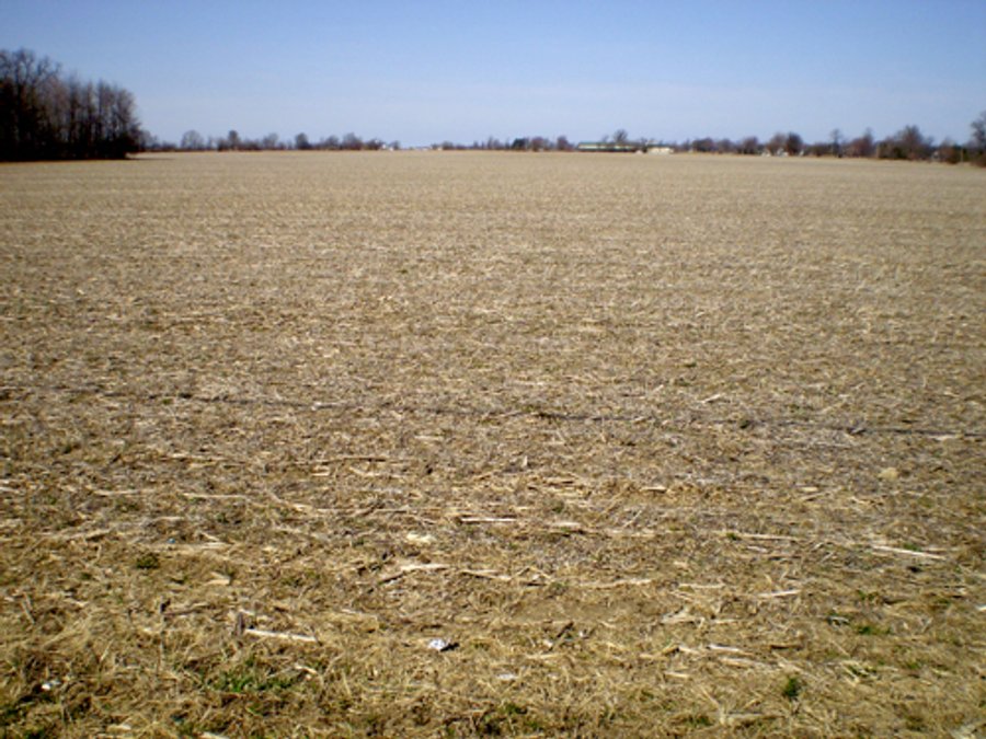 218+/- Acres Offered in 9 Tracts with 147+/- Tillable Acres - Possession for 2012 Crop Year!