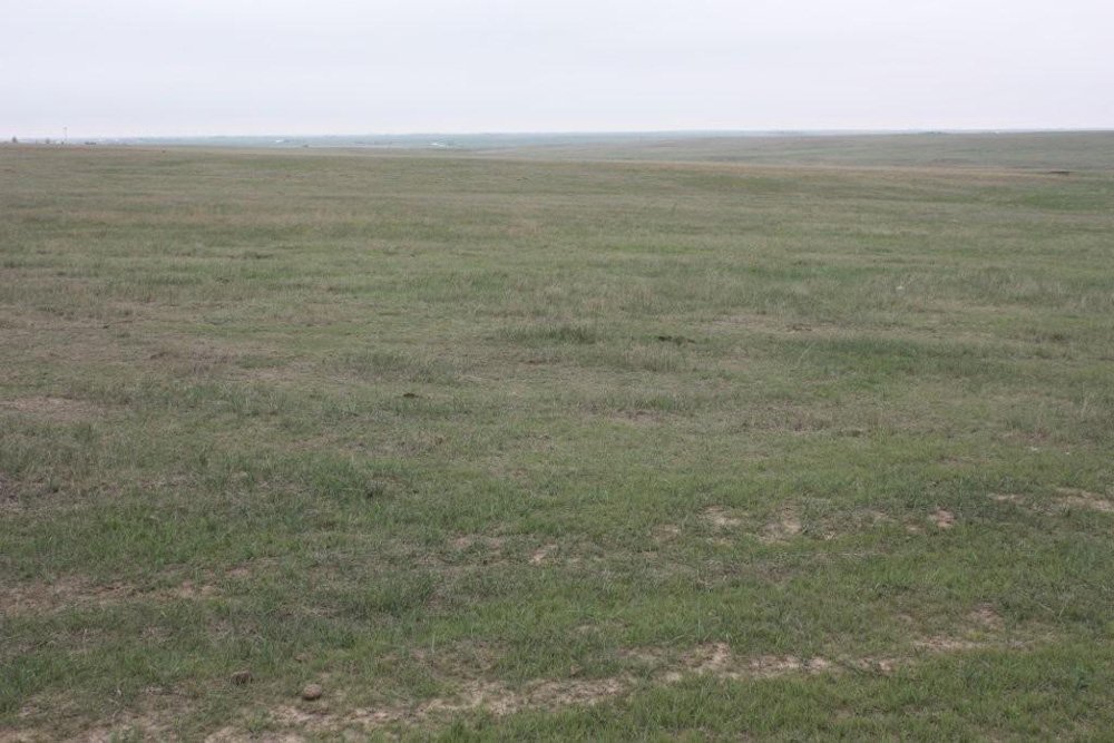 Property photo 8 - Cimarron, Kansas Land Auction - 310 Acres Offered in 7 Tracts