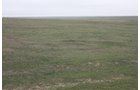 Property photo 8 - Cimarron, Kansas Land Auction - 310 Acres Offered in 7 Tracts